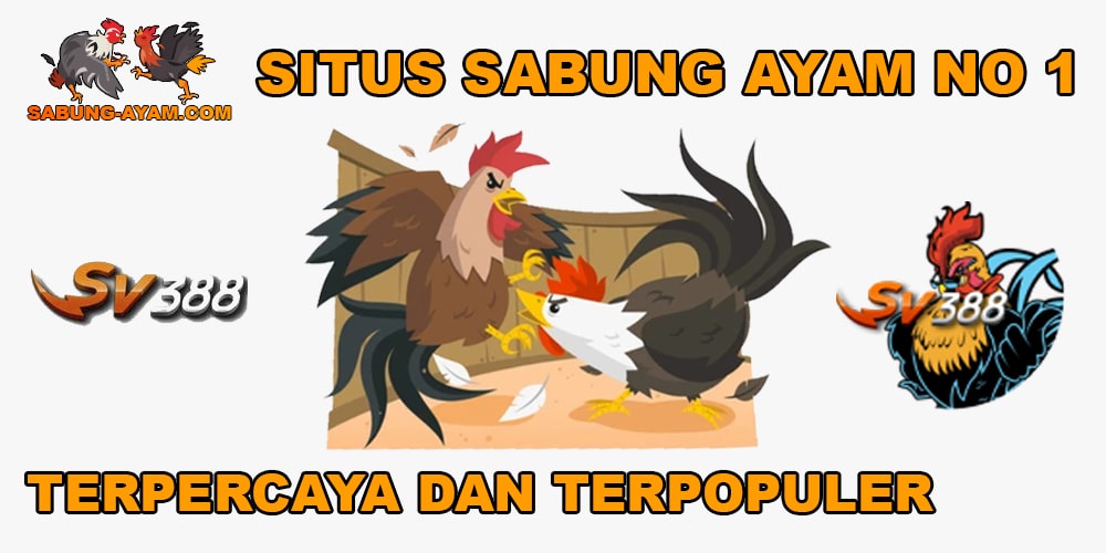 SV388 situs sabung ayam terpercaya dan terpopuler