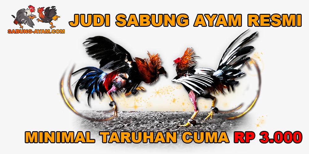 Sabung Ayam Online