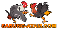 sabung-ayam.com