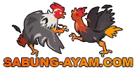 sabung-ayam.com